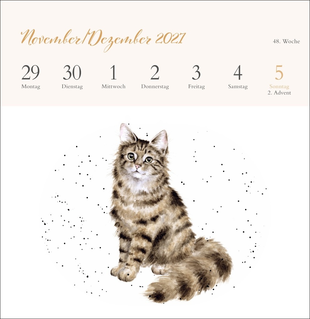 Weitere Ansicht: Hannah Dale: Happy Animals Premium-Postkartenkalender 2027 | Hannah Dale