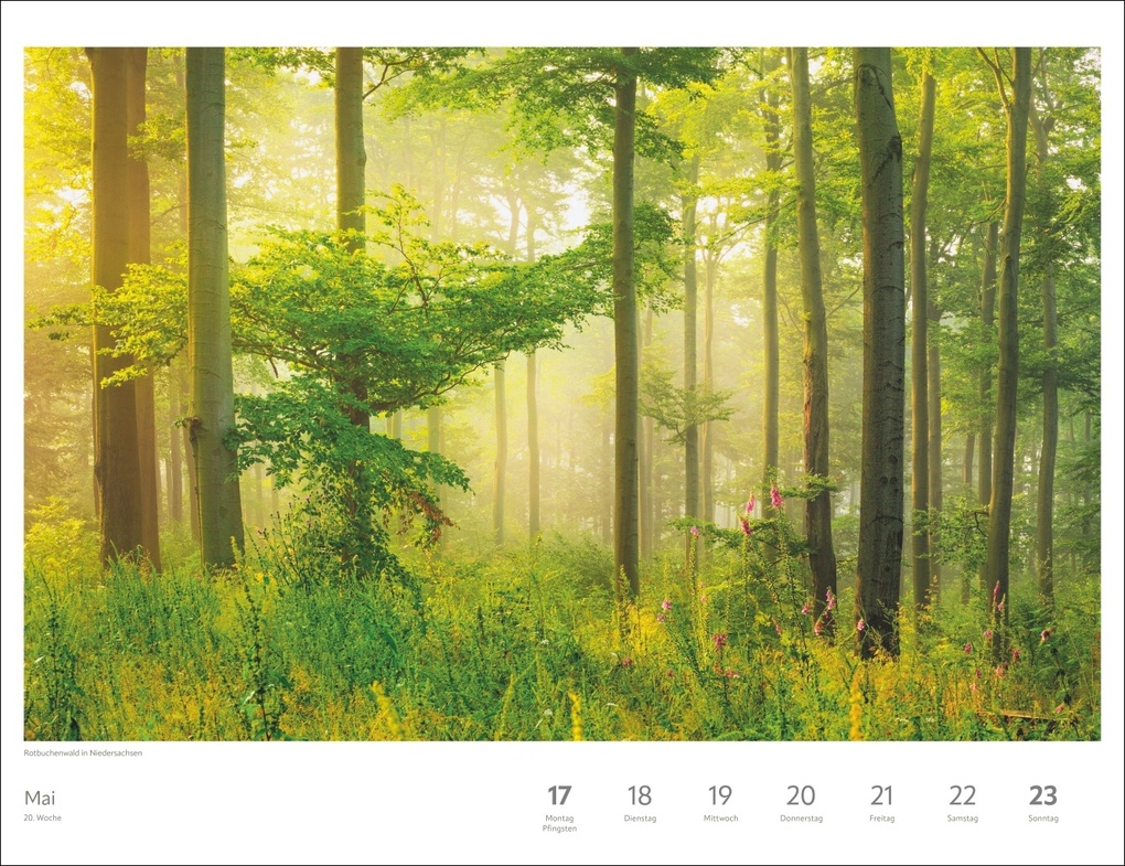 Weitere Ansicht: Zauber der Jahreszeiten Großer Wochenkalender 2027 - Jede Woche ein neues Bild