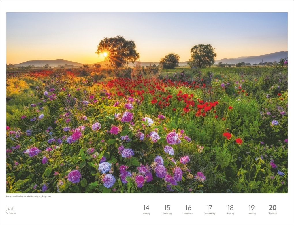 Weitere Ansicht: Zauber der Jahreszeiten Großer Wochenkalender 2027 - Jede Woche ein neues Bild