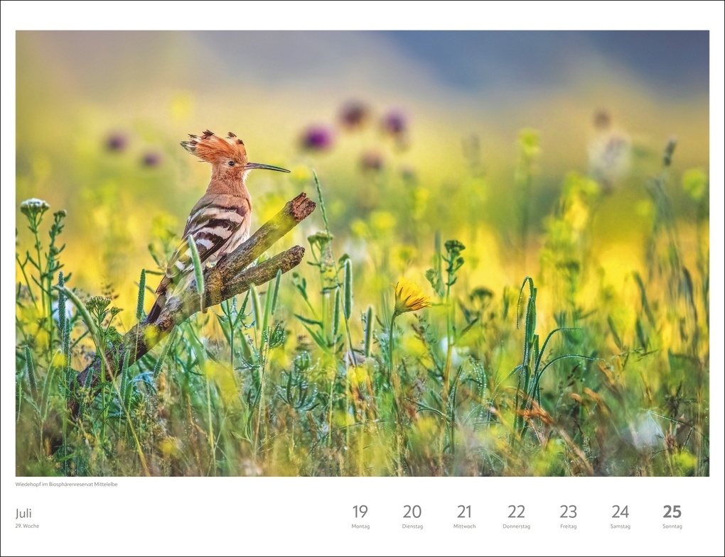 Weitere Ansicht: Zauber der Jahreszeiten Großer Wochenkalender 2027 - Jede Woche ein neues Bild