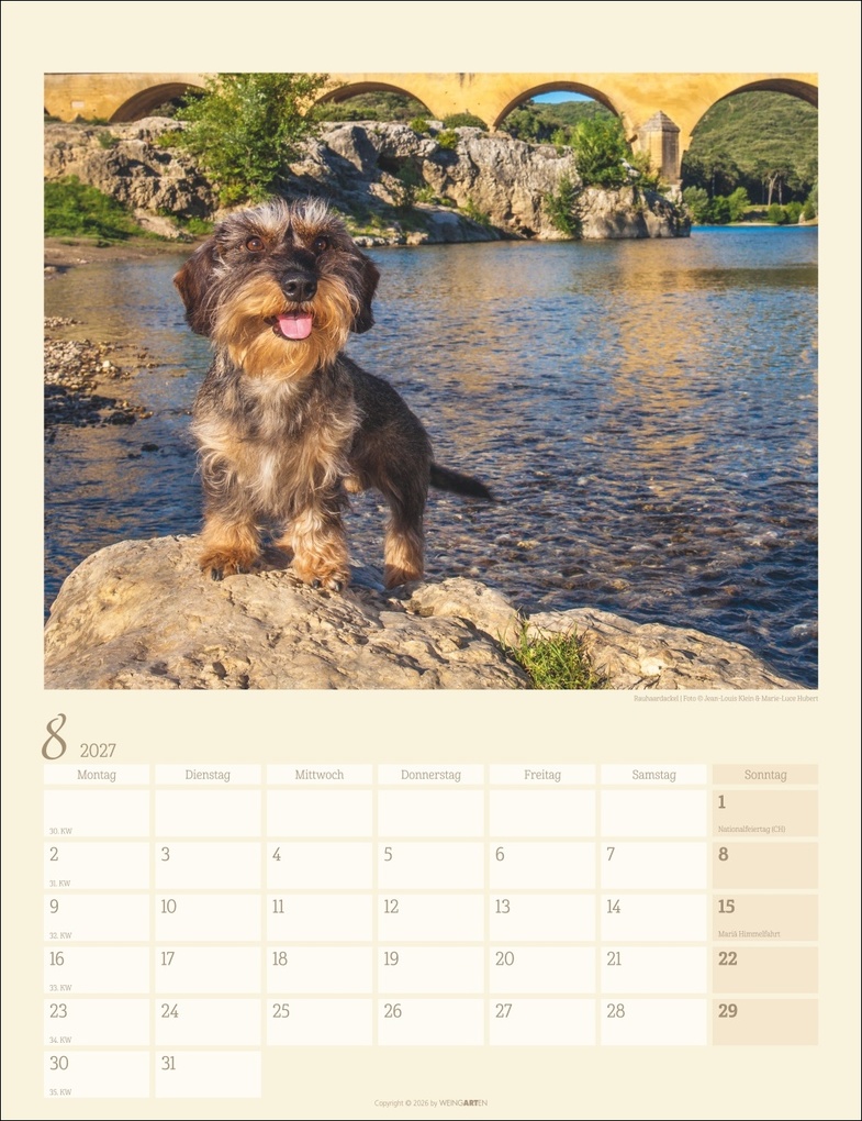 Weitere Ansicht: Dackel Kalender 2027