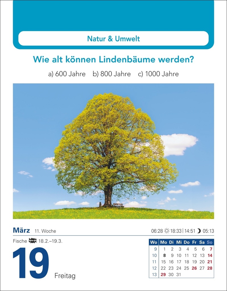 Weitere Ansicht: Allgemeinbildung Tagesabreißkalender 2027 - Das tägliche Wissens-Quiz | Berthold Budde