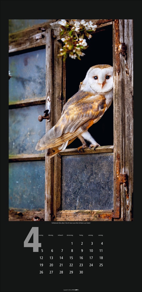 Weitere Ansicht: Eulen Kalender 2027