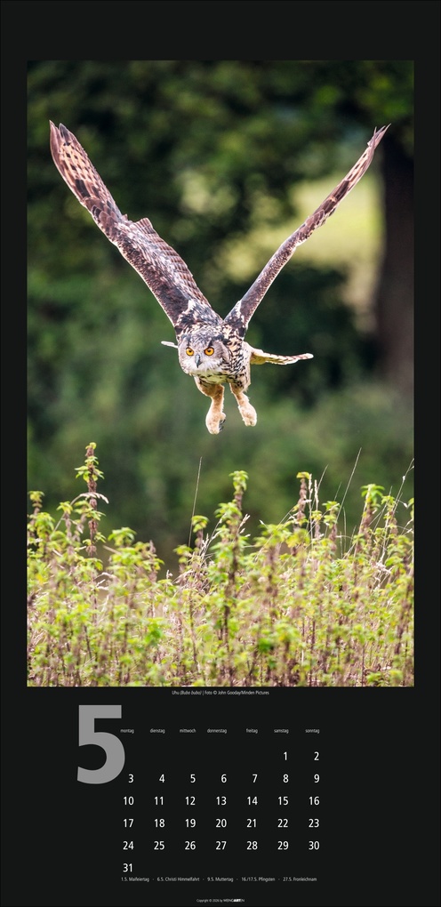 Weitere Ansicht: Eulen Kalender 2027