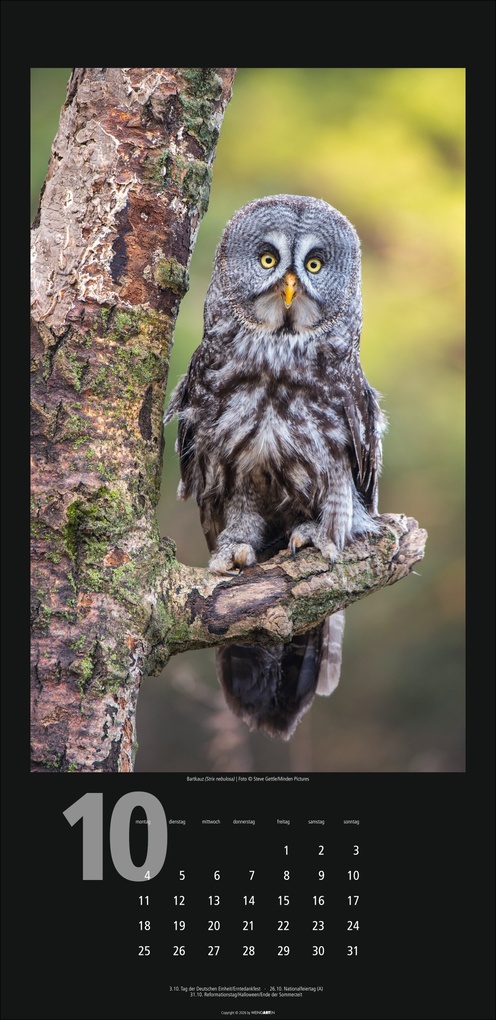 Weitere Ansicht: Eulen Kalender 2027