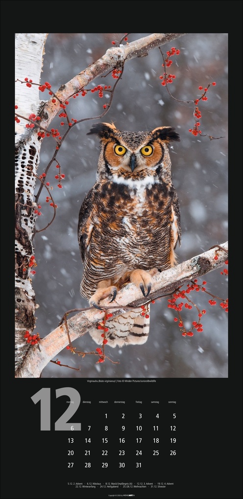 Weitere Ansicht: Eulen Kalender 2027