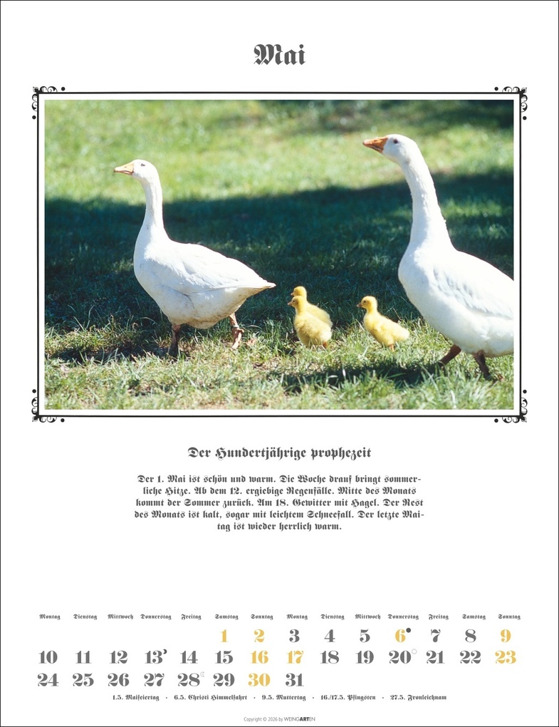 Weitere Ansicht: Der Hundertjährige Kalender 2027