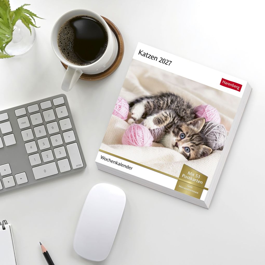 Weitere Ansicht: Katzen Postkartenkalender 2027 - Wochenkalender mit 53 Postkarten