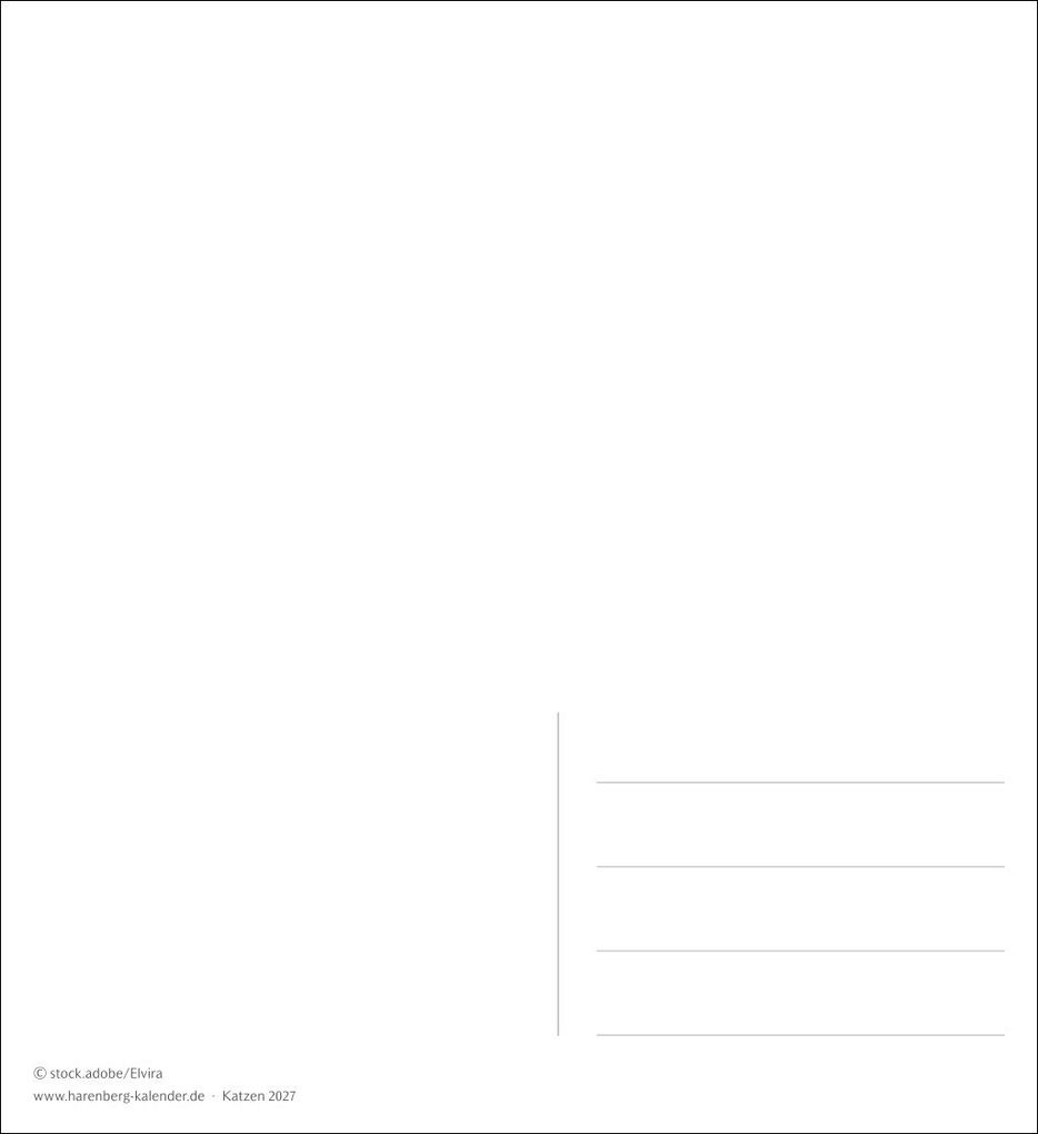 Weitere Ansicht: Katzen Postkartenkalender 2027 - Wochenkalender mit 53 Postkarten