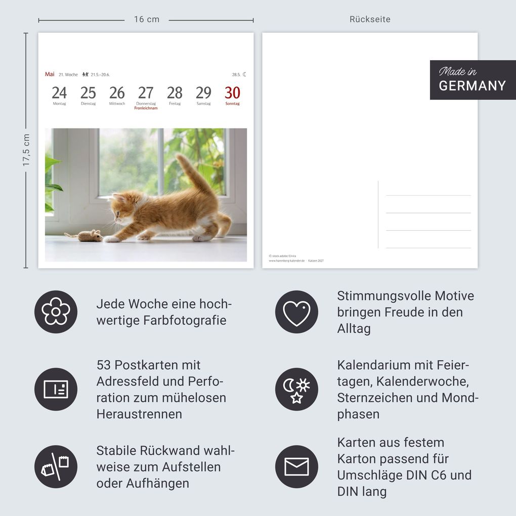 Weitere Ansicht: Katzen Postkartenkalender 2027 - Wochenkalender mit 53 Postkarten