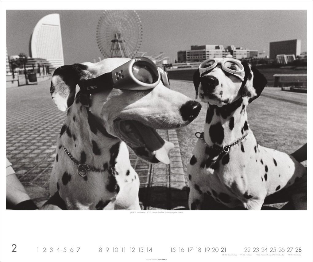 Weitere Ansicht: Magnum Photos - Elliott Erwitt Kalender 2027