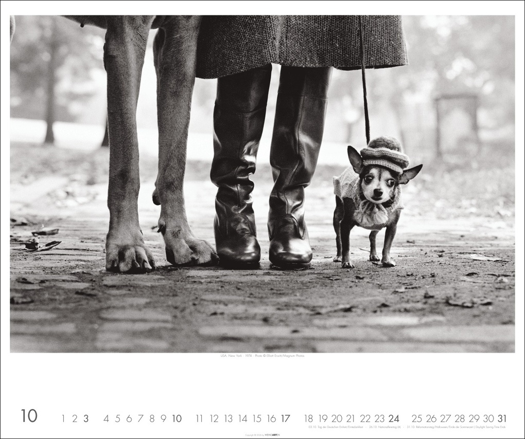 Weitere Ansicht: Magnum Photos - Elliott Erwitt Kalender 2027