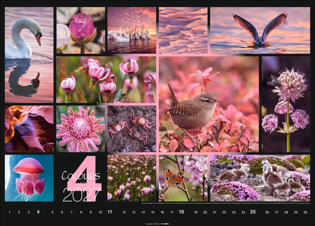 Weitere Ansicht: Colours of Nature Kalender 2027