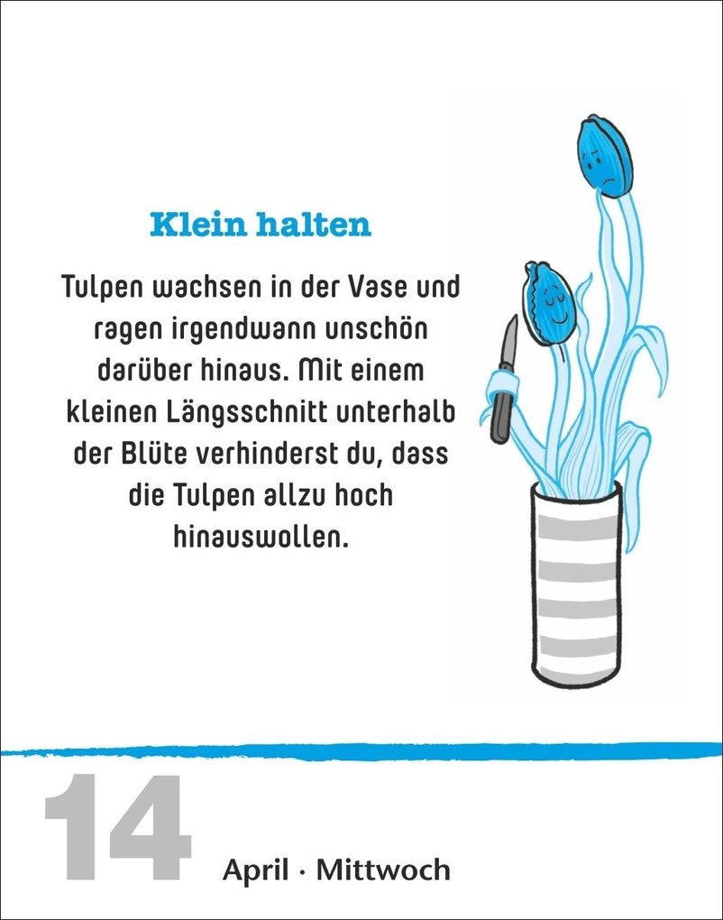 Weitere Ansicht: Lifehacks Tagesabreißkalender 2027 - Der hilfreichste Kalender aller Zeiten | Ann Christin Artel