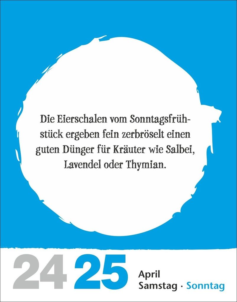 Weitere Ansicht: Lifehacks Tagesabreißkalender 2027 - Der hilfreichste Kalender aller Zeiten | Ann Christin Artel