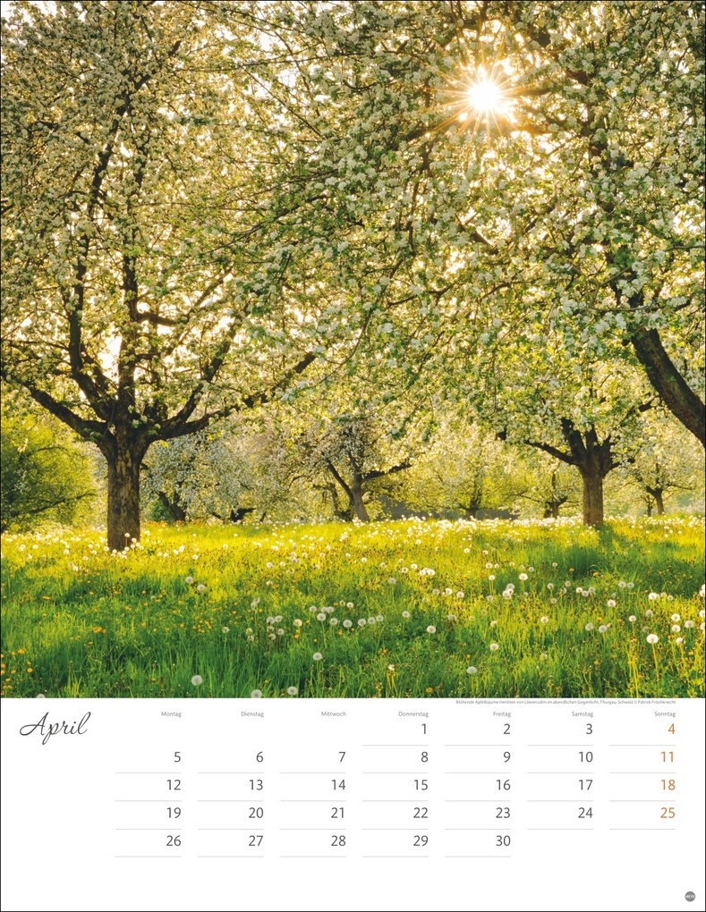 Weitere Ansicht: Jenseits der Hast Posterkalender 2027