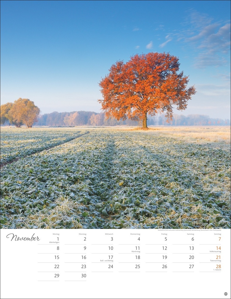 Weitere Ansicht: Jenseits der Hast Posterkalender 2027