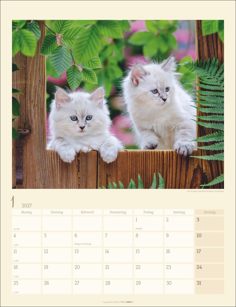 Weitere Ansicht: Katzen auf dem Lande Kalender 2027