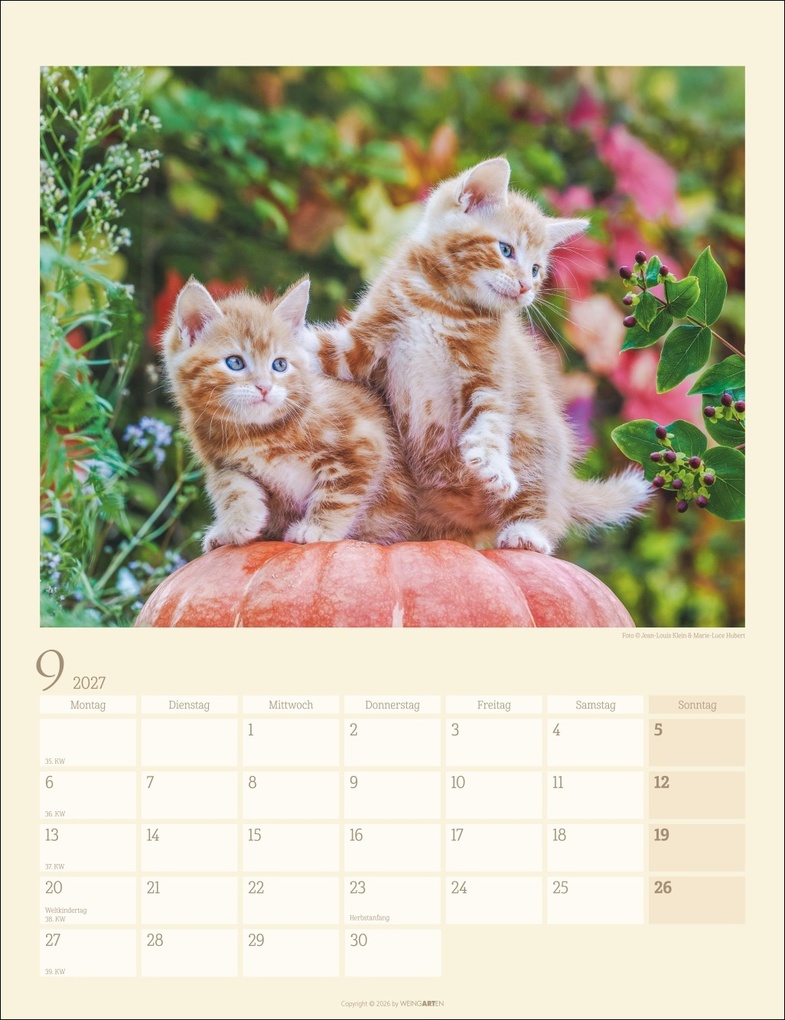 Weitere Ansicht: Katzen auf dem Lande Kalender 2027