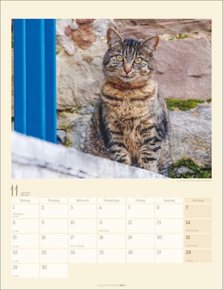 Weitere Ansicht: Katzen auf dem Lande Kalender 2027