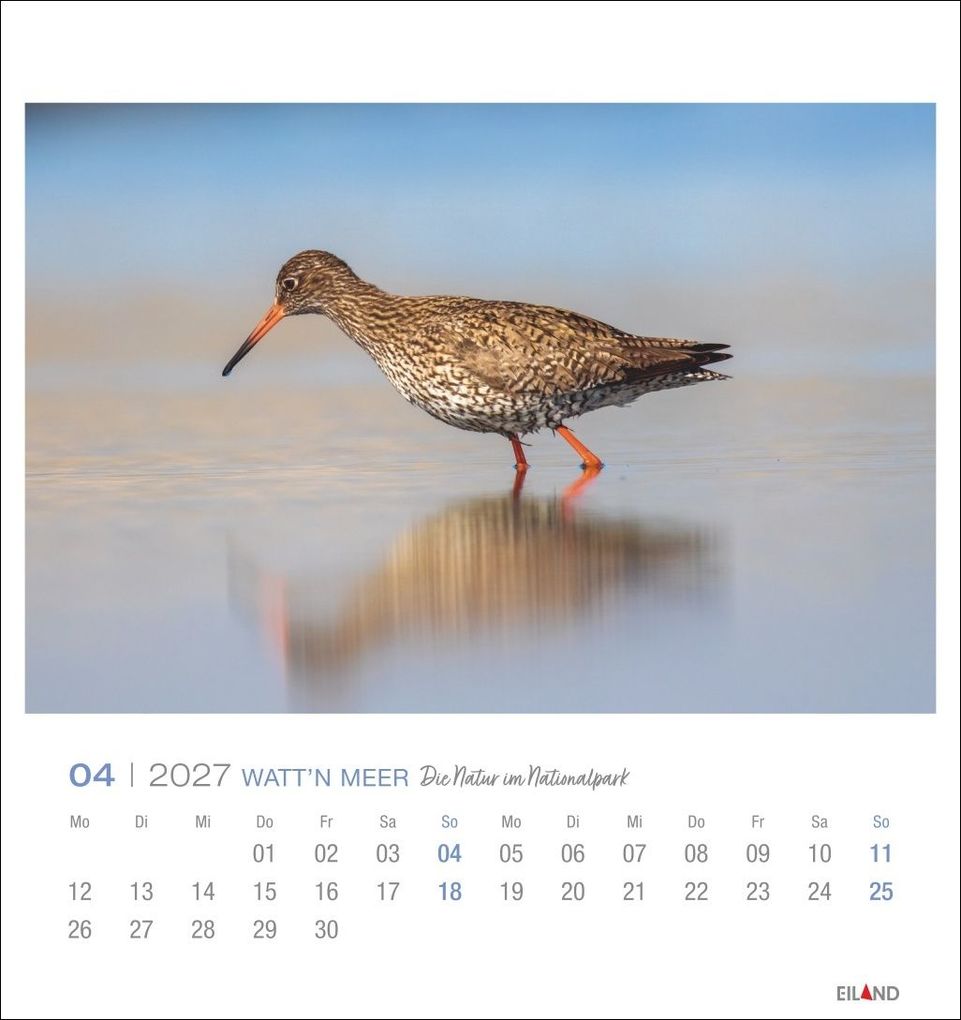 Weitere Ansicht: Watt'n Meer Postkartenkalender 2027 - Die Natur im Nationalpark