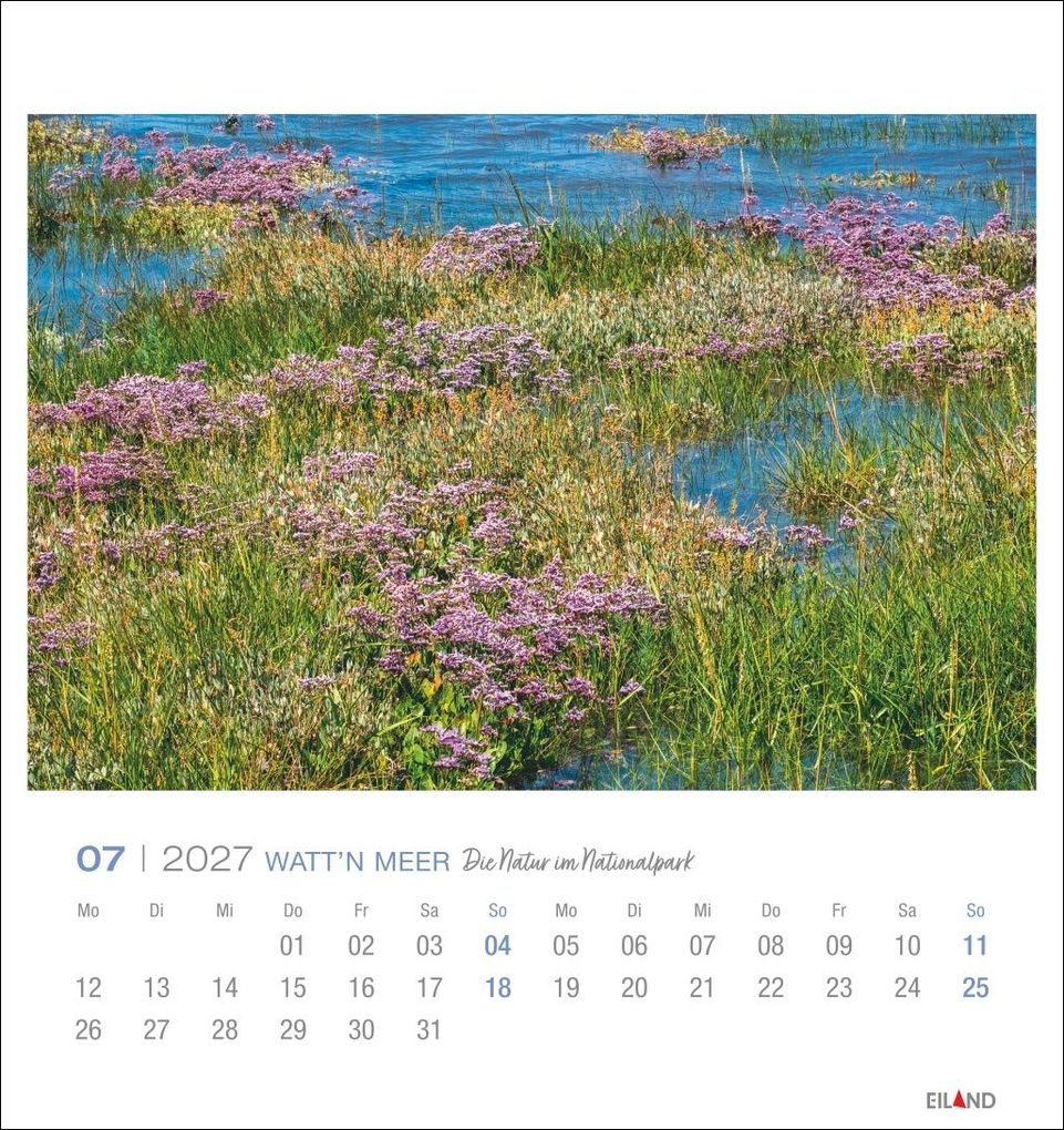 Weitere Ansicht: Watt'n Meer Postkartenkalender 2027 - Die Natur im Nationalpark