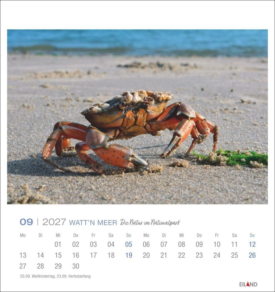 Weitere Ansicht: Watt'n Meer Postkartenkalender 2027 - Die Natur im Nationalpark