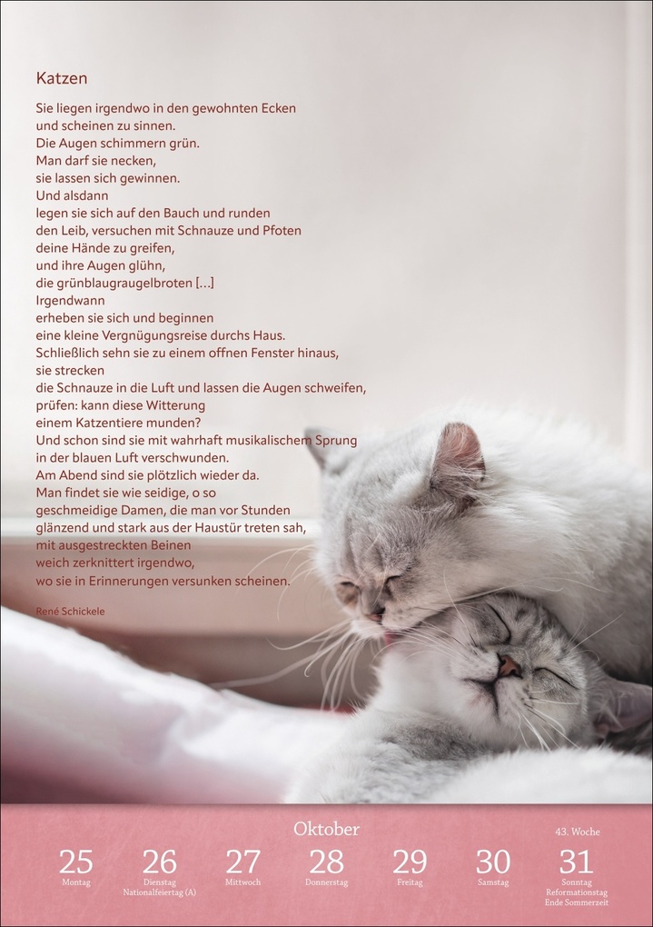 Weitere Ansicht: Literaturkalender Katzen Wochen-Kulturkalender 2027