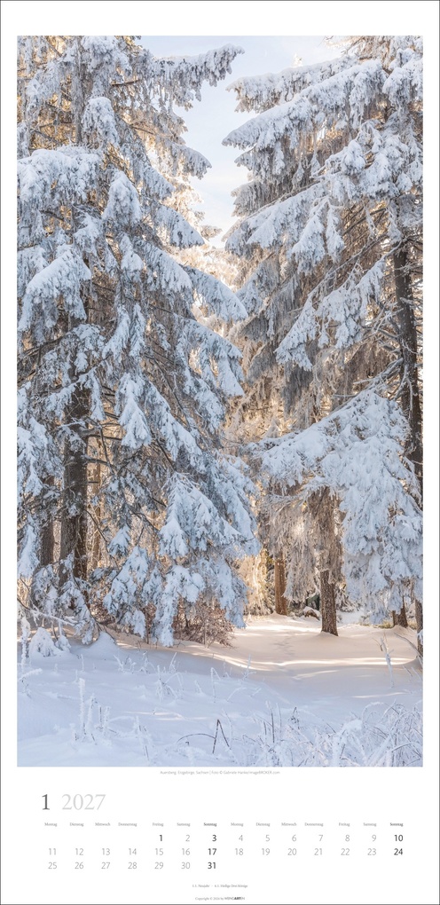 Weitere Ansicht: Im Wald Kalender 2027