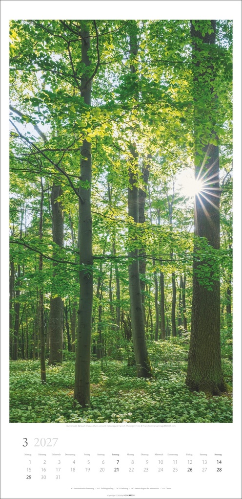 Weitere Ansicht: Im Wald Kalender 2027