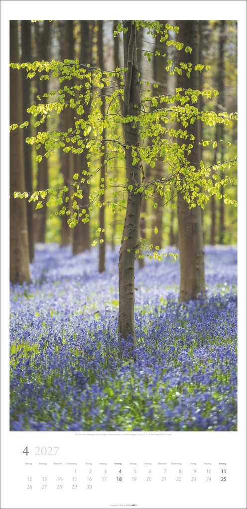 Weitere Ansicht: Im Wald Kalender 2027