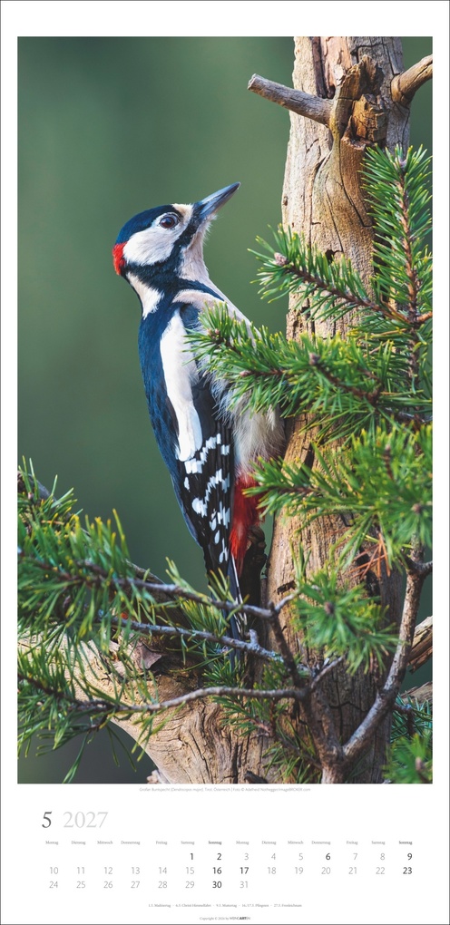 Weitere Ansicht: Im Wald Kalender 2027