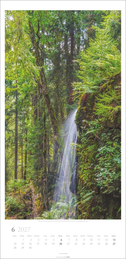 Weitere Ansicht: Im Wald Kalender 2027