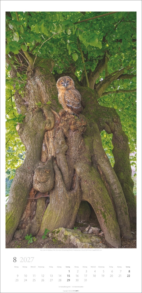 Weitere Ansicht: Im Wald Kalender 2027