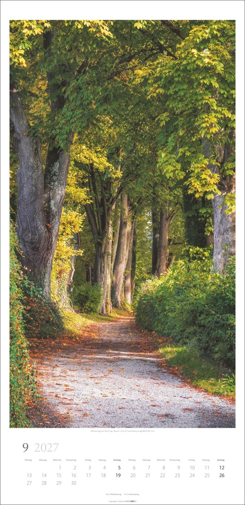 Weitere Ansicht: Im Wald Kalender 2027