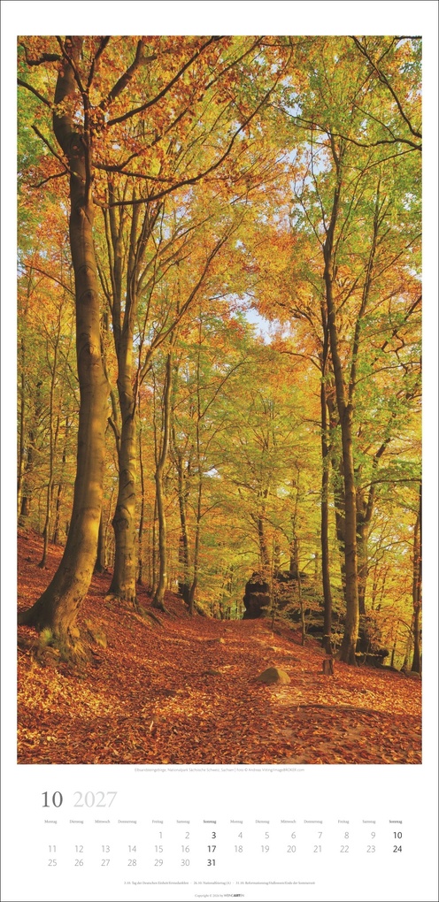 Weitere Ansicht: Im Wald Kalender 2027