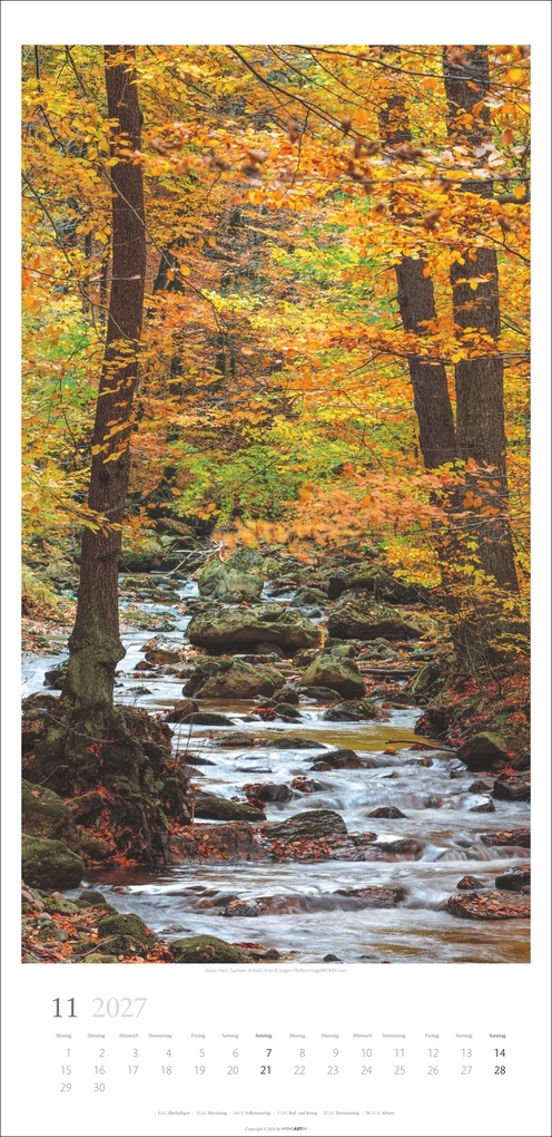 Weitere Ansicht: Im Wald Kalender 2027