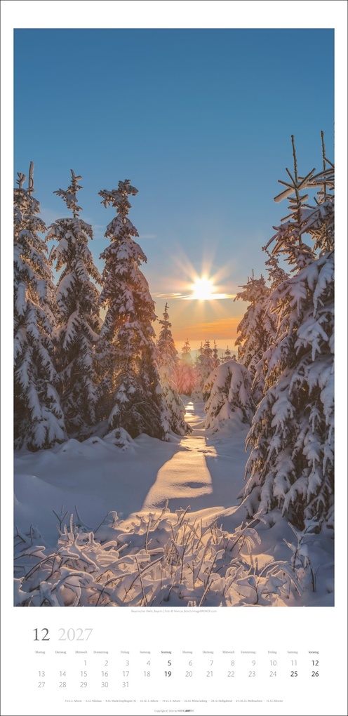 Weitere Ansicht: Im Wald Kalender 2027