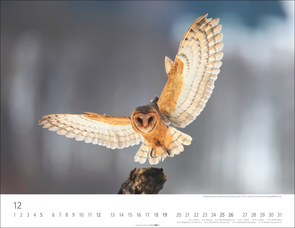 Weitere Ansicht: Eulen Kalender 2027