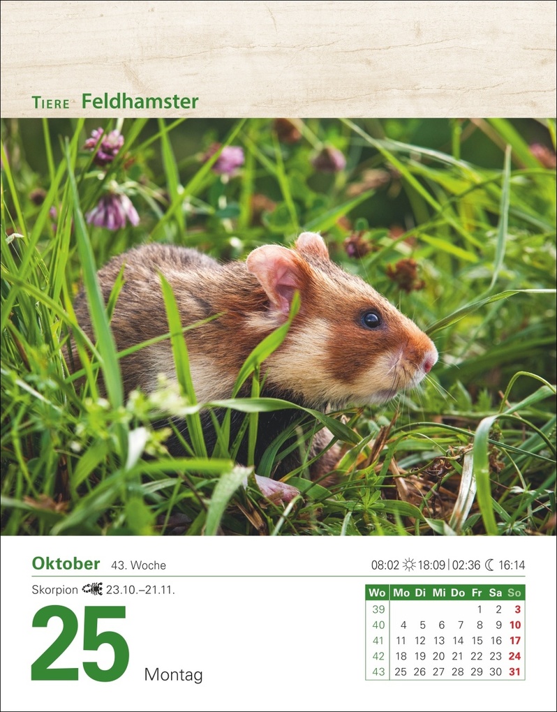 Weitere Ansicht: Mein Garten Tagesabreißkalender 2027 - Praktische Tipps für 2027 | Ulrich Thimm