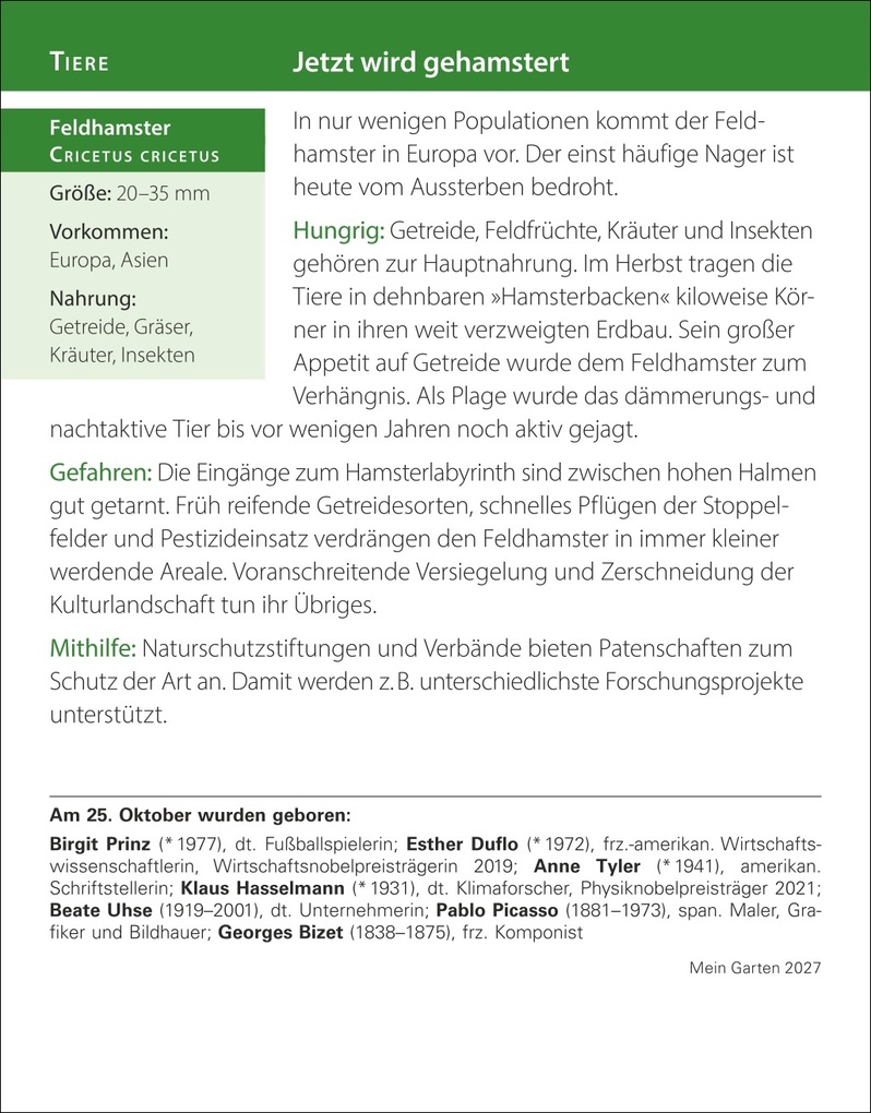 Weitere Ansicht: Mein Garten Tagesabreißkalender 2027 - Praktische Tipps für 2027 | Ulrich Thimm