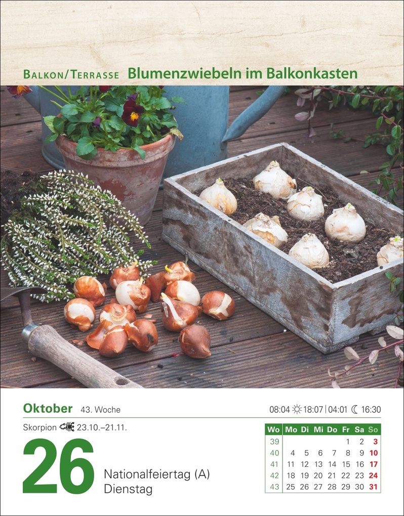 Weitere Ansicht: Mein Garten Tagesabreißkalender 2027 - Praktische Tipps für 2027 | Ulrich Thimm