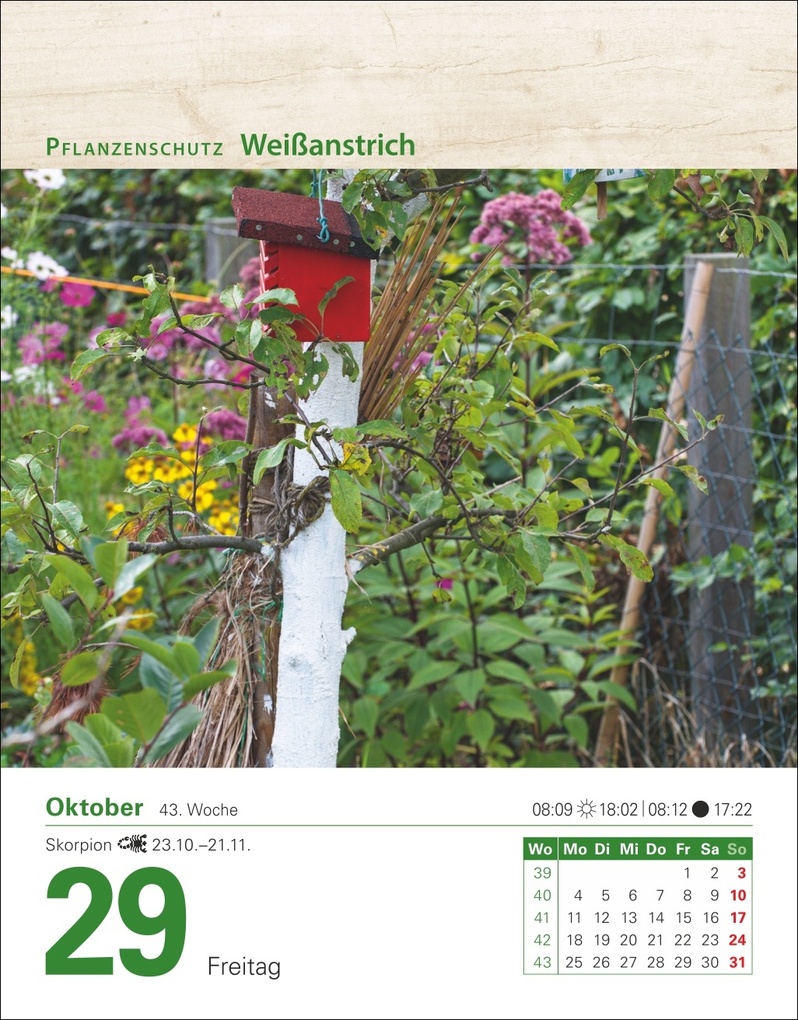 Weitere Ansicht: Mein Garten Tagesabreißkalender 2027 - Praktische Tipps für 2027 | Ulrich Thimm