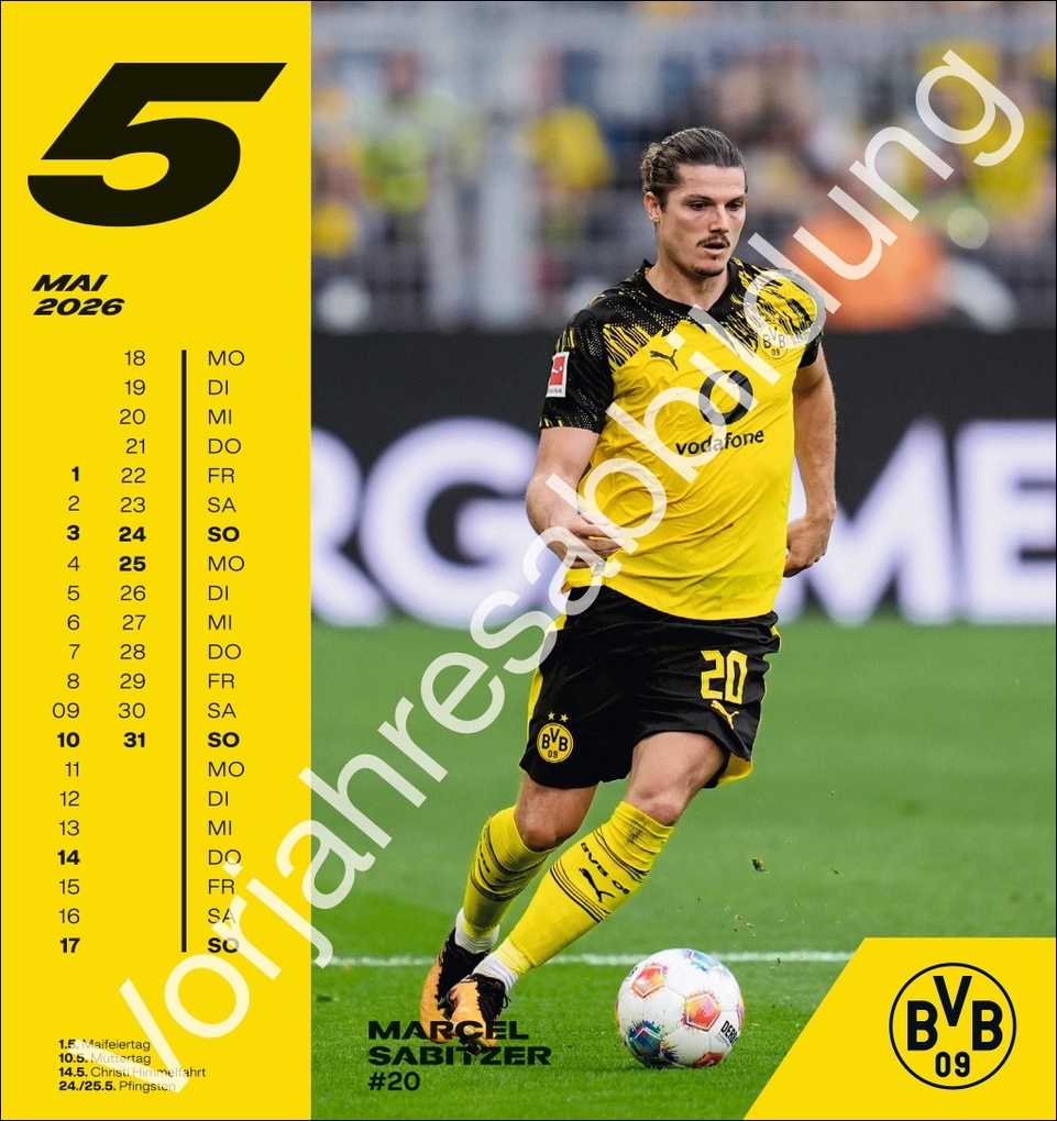 Weitere Ansicht: BVB Postkartenkalender 2027