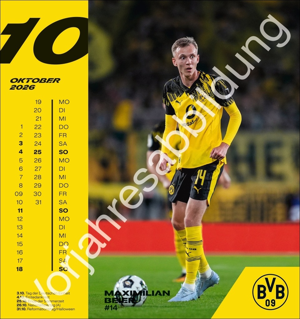 Weitere Ansicht: BVB Postkartenkalender 2027