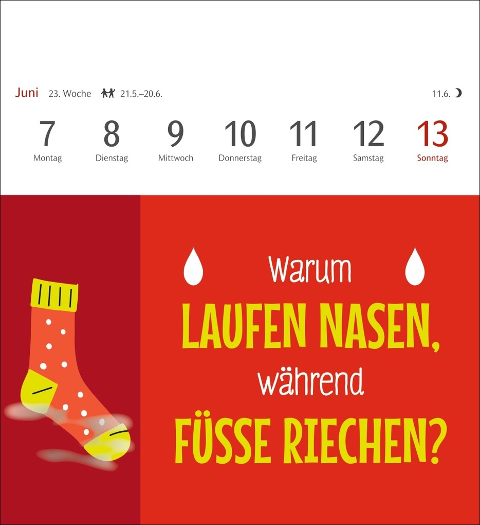 Weitere Ansicht: Der fette Vogel bricht den Ast Postkartenkalender 2027 - Wochenkalender - 53 Karten mit frechen Sprüchen