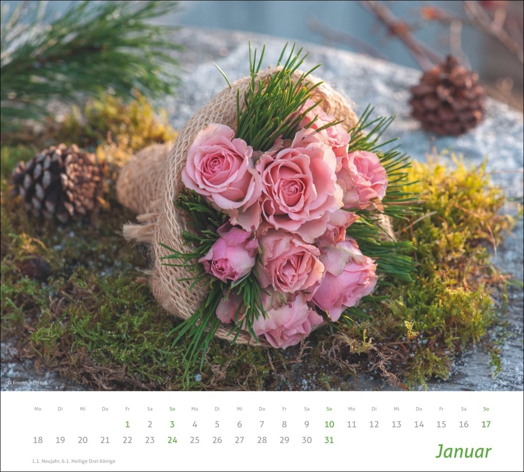 Weitere Ansicht: times&more Blumen Bildkalender 2027