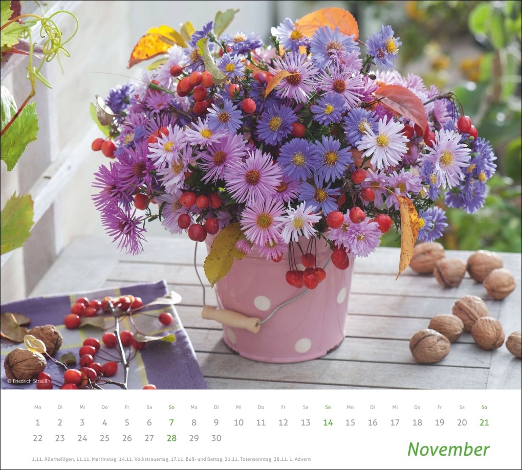 Weitere Ansicht: times&more Blumen Bildkalender 2027