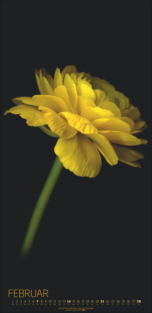 Weitere Ansicht: Die Magie der Blumen Kalender 2027