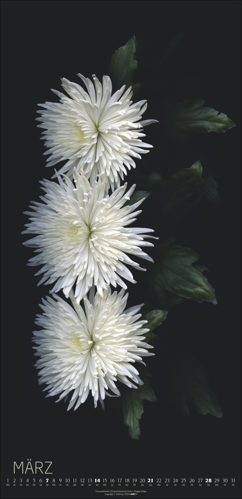 Weitere Ansicht: Die Magie der Blumen Kalender 2027